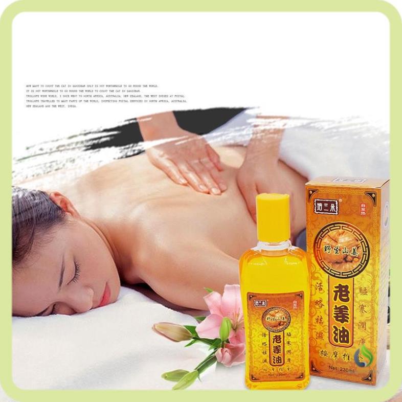 - 230ML Tinh Dầu Gừng Massage Giảm Béo, Đả Thông Kinh Lạc, Đau Xương Khớp, Cổ Vai Gáy