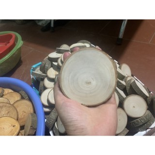 Combo 10 khoanh gỗ tròn, vát 12-13cm