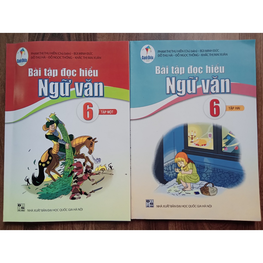 Sách - Bài tập đọc hiểu ngữ văn 6 - tập 1 ( Cánh Diều )