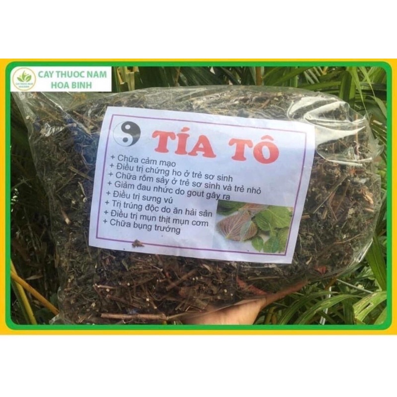 Lá tía tô khô sao phơi khô thơm 1kg
