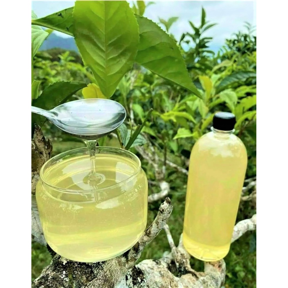 MẬT ONG TRẮNG MÙ CANG CHẢI YÊN BÁI NGUYÊN CHẤT 100%