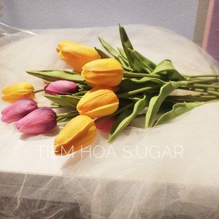BÔNG hoa tulip GIÁ TỐT NHẤT HỆ MẶT TRỜI
