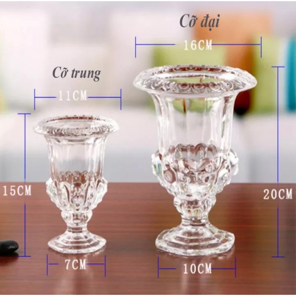 Lọ hoa ly cốc để quả phật thủ, trồng hoa thuỷ tiên bằng thủy tinh. Size 15 và 20cm