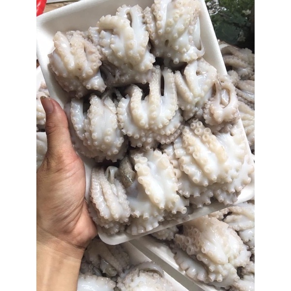 Bạch tuộc sữa làm sạch 500gr