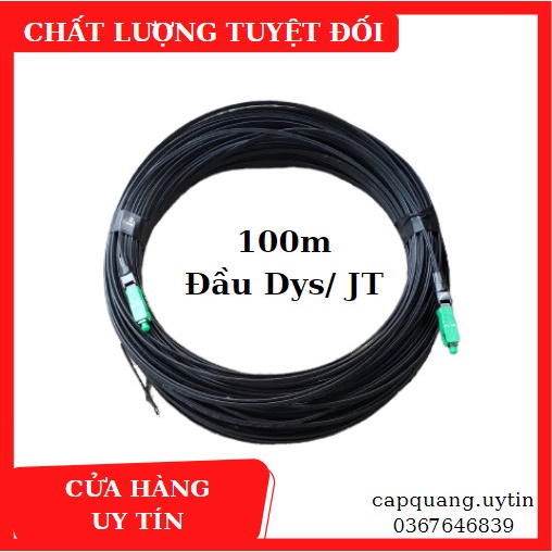 Dây Cáp quang bấm sẵn 2 đầu SC (1FO) (100m)