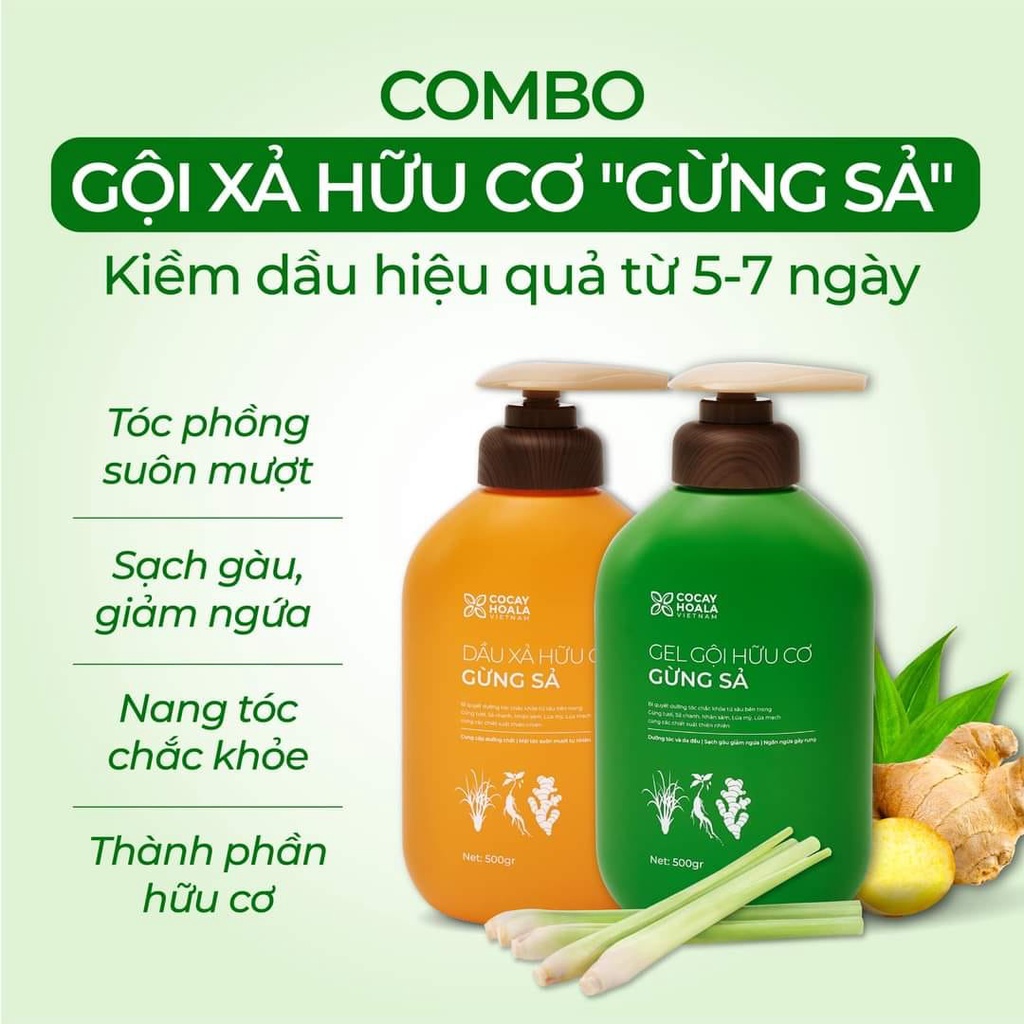 Gel Gội Xả hữu cơ Gừng Xả hữu cơ Cocayhoala 1000ml