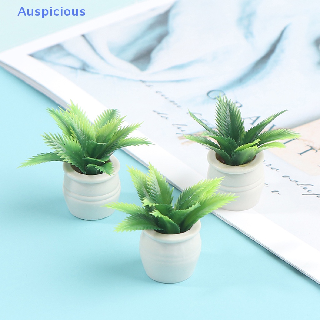 Mô Hình Chậu Cây Xanh Trang Trí Nhà Búp Bê Tỉ Lệ 1: 12