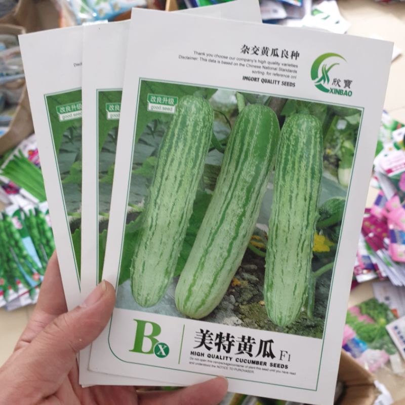 Hạt giống dưa chuột nếp hizuku. Hàng Trung Quốc. 20 hạt/gói. Tỉ lệ nảy mầm cao