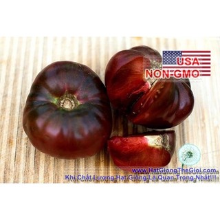 2gr 560.hạt hạt giống cà chua đen chịu hạn black krim