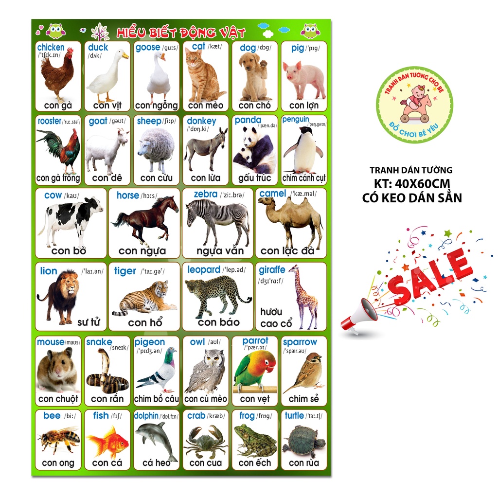 Bảng chữ cái dán tường