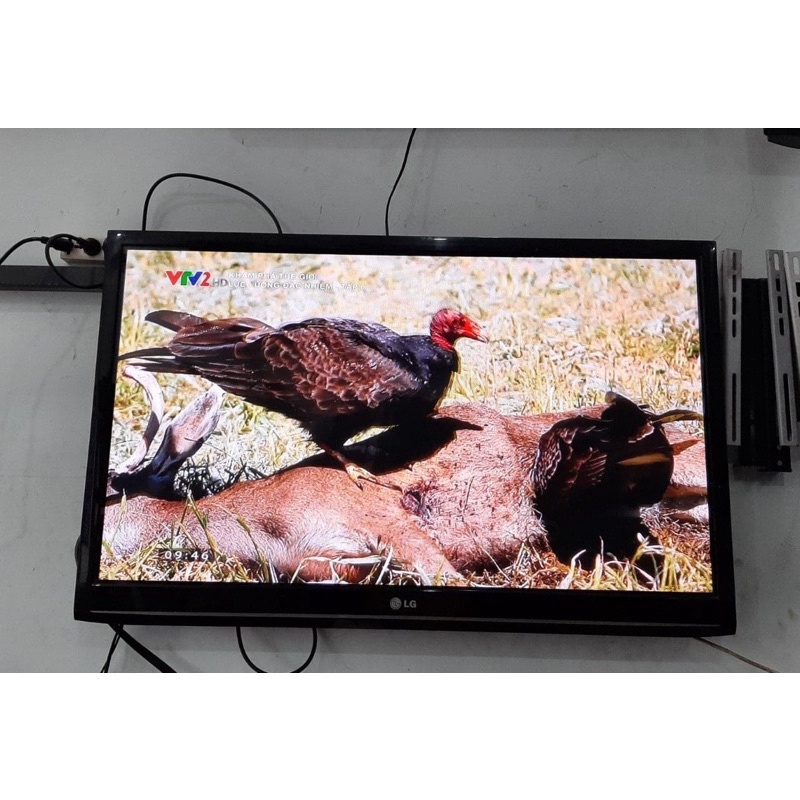 Tivi LG 42 inch siêu bền