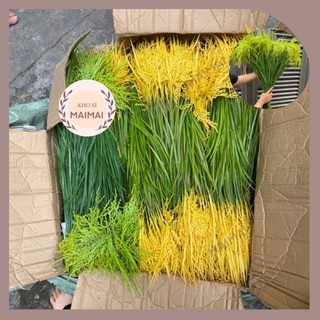 Cành lúa 1 bông dài 70cm 2 màu xanh và vàng