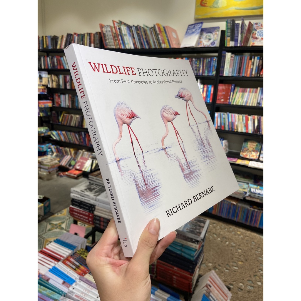 Sách - Wildlife Photography