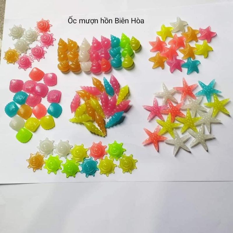 5 vỏ ốc nhựa phát sáng. OMH Biên Hòa.