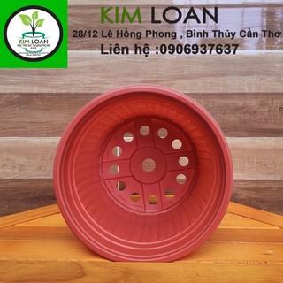Combo 20 chậu vành cứng C6 23x16cm
