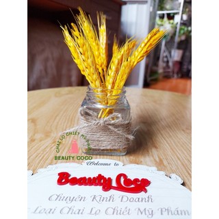 Dây Thừng Dây Gai Trang Trí