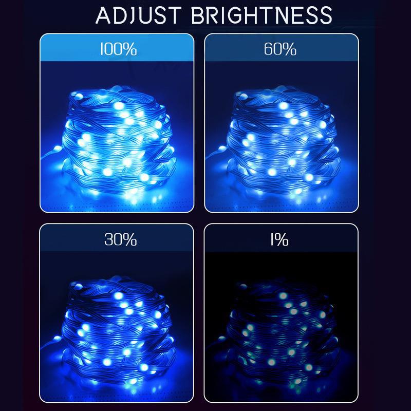 Trang trí tiệc gia đình Đèn dây LED Trang trí nhà sáng tạo Dây đèn cây thông Noel Di động Dây đèn LED RGB Đèn Giáng sinh thông minh Trang trí Giáng sinh Veel