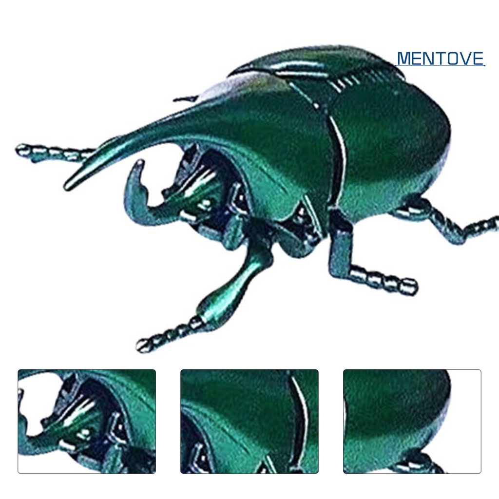 Mô Hình Bọ Cánh Cứng Đồ Chơi Cho Bé