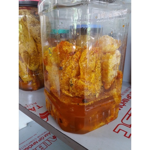 Mật ong đá rừng Đăk Lăk