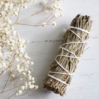 Xô thơm Lá Thông (Pine Smudge) Kích Thích Sáng Tạo & Thu Hút Của Cải l XÔ THƠM THANH TẨY
