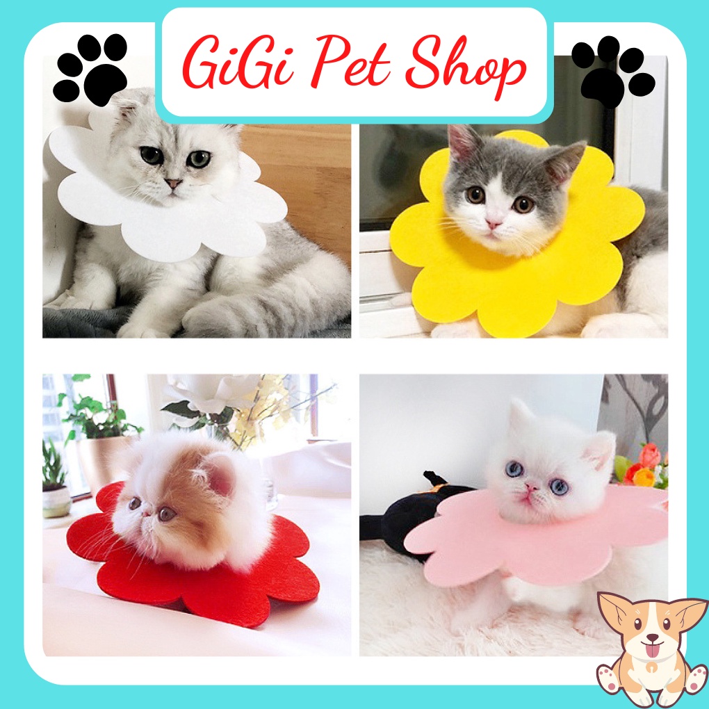 Vòng cổ loa chống liếm thuốc hình hoa đeo cổ chống cắn bậy cho chó mèo phụ kiện thú cưng giá rẻ - GiGi Pet Shop