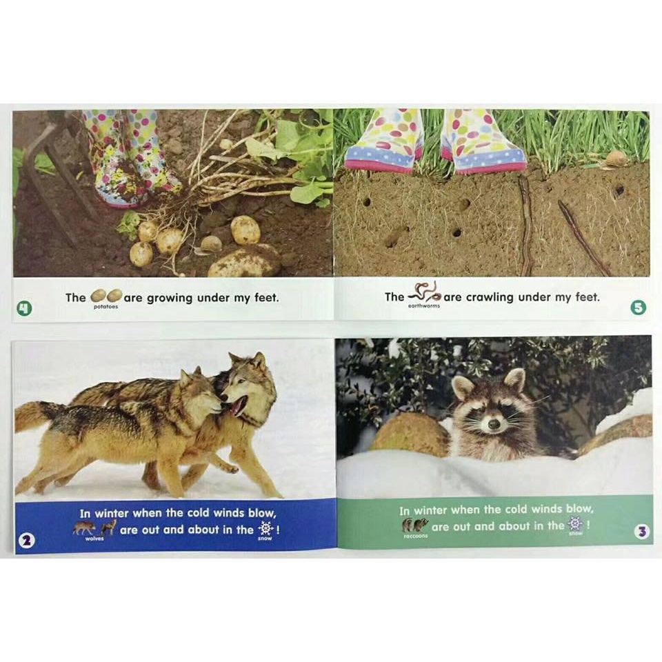 Bộ nhập- Let’s find out full 24q kèm file nghe