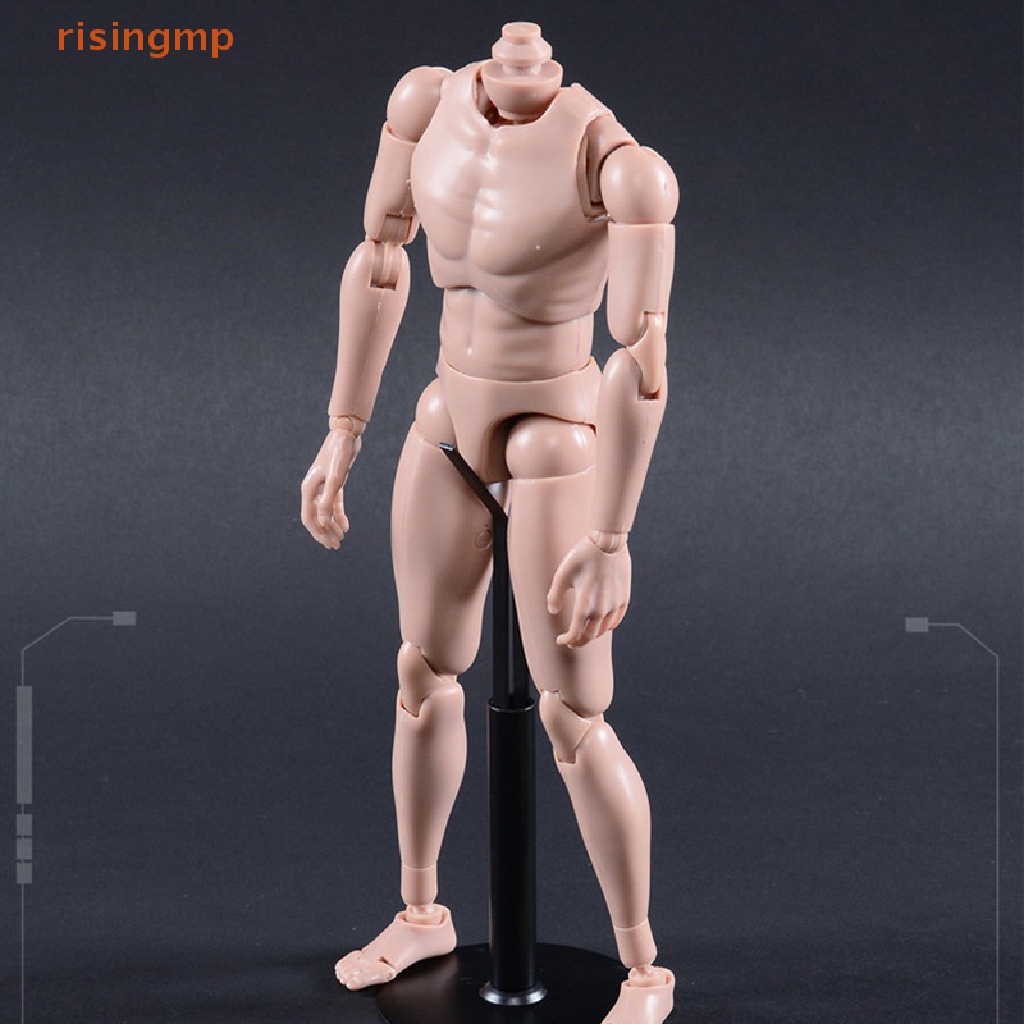 Giá Đỡ Mô Hình Trưng Bày Bằng Kim Loại Có Thể Điều Chỉnh 1 / 6