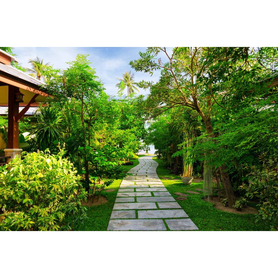 Tranh Dán Tường Cây Lá In 3D Cao Cấp chất lượng cao