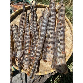 Cá chình bông biển tẩm