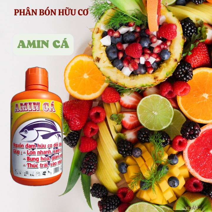 GIẢM RỤNG VÀ BÓNG TRÁI -  AMIN CÁ ĐẬM ĐẶC- Chai 1L