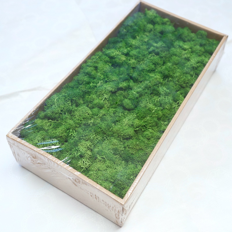 Rêu tuần lộc, phụ kiện làm đồ handmade - Jassi Mart