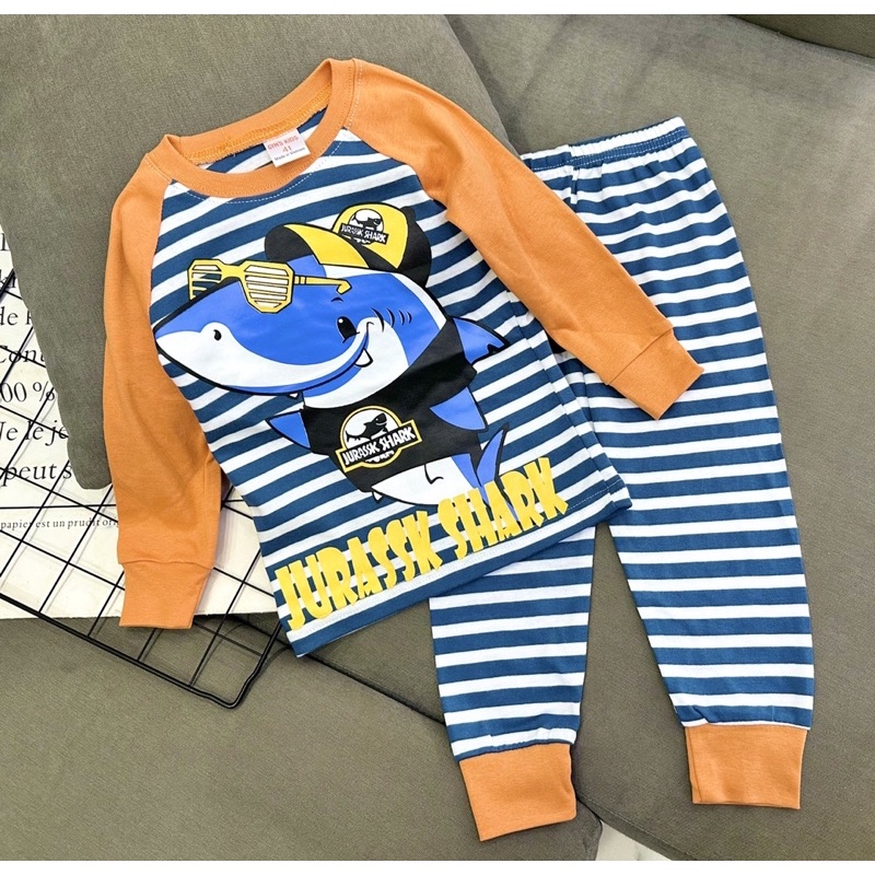 Bộ tay dài quần dài cho bé thu đông thun Cotton Borip xuất 10 ký đến 23 ký