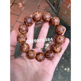 18li nu hoa Ngọc Am siêu vip