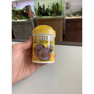 Thức ăn cho cá cảnh (cá dĩa) Discus