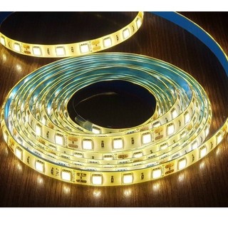 Led dây 2835 12V 120 bóng led cuộn 5m có keo dán trang trí tủ bếp, kệ trưng bày