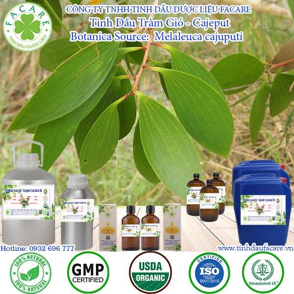 Tinh dầu Tràm Gió Cajeput essential oil giúp giữ ấm cơ thể bé, xua đuổi côn trùng hiệu quả - 10ml/50ml/100ml