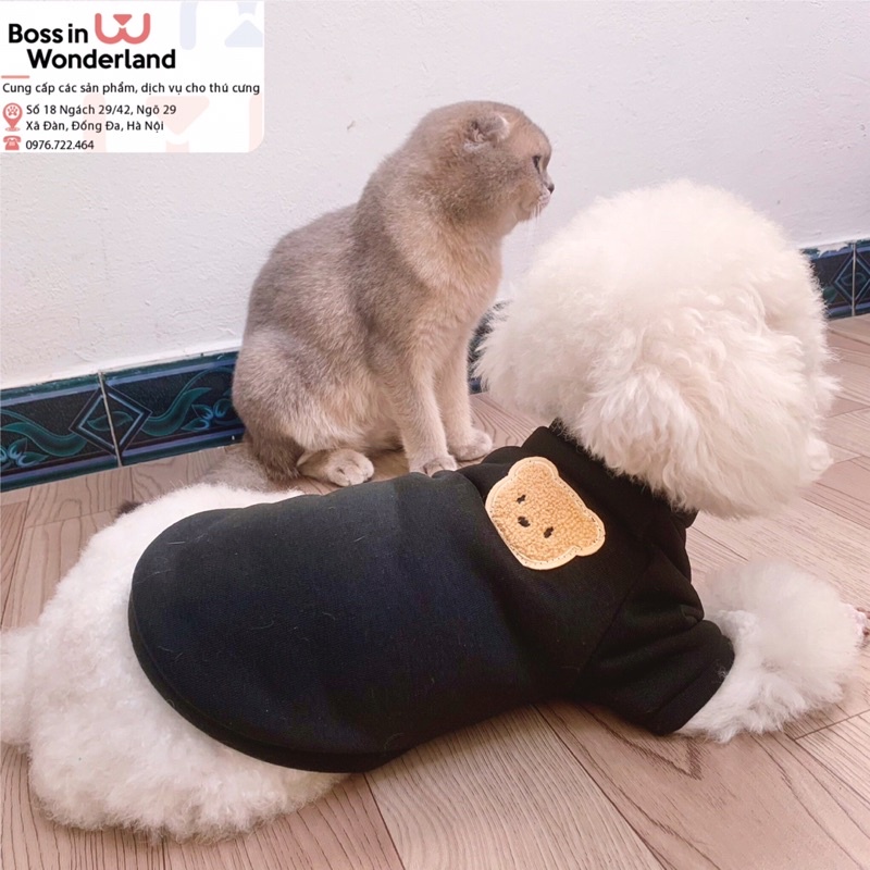 Áo nỉ bông gấu dài tay cho thú cưng