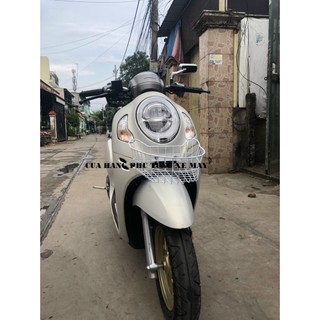 Rổ trước xe Scoopy mẫu mới