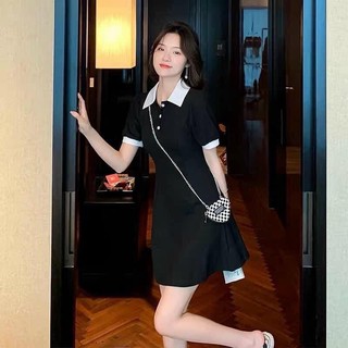 Đầm polo cổ trụ bigsize_saigon