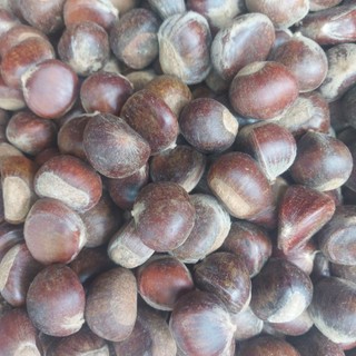 1kg hạt dẻ sống trùng khánh cao bằng loại đẹp ngon đều hạt.