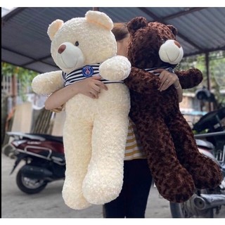 Gấu bông - thú nhồi bông teddy siêu to màu nâu đậm _ size 90cm