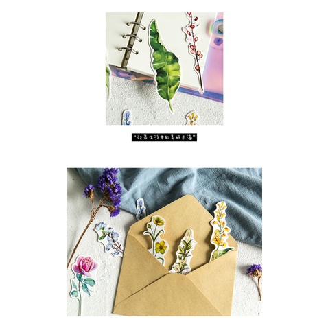 Set 30 Bookmark Hình Hoa Vẽ Tay Sáng Tạo