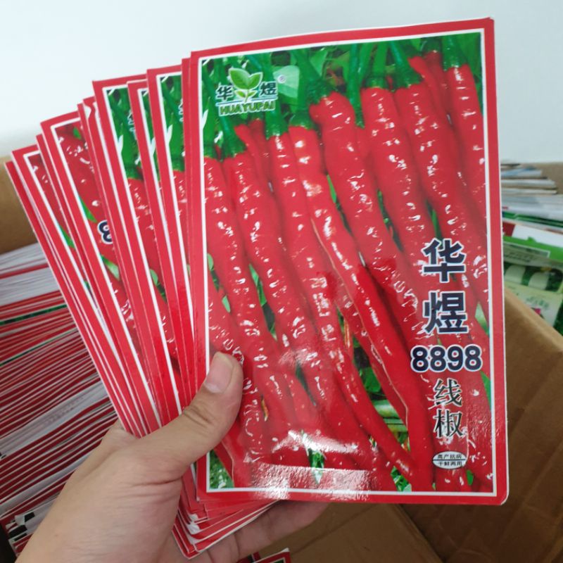 Hạt giống ớt tóc dài đỏ. Hàng Trung Quốc. Gói 4 gram. Tỉ lệ nảy mầm cao
