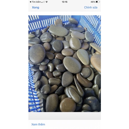 Sỏi làm xương rồng