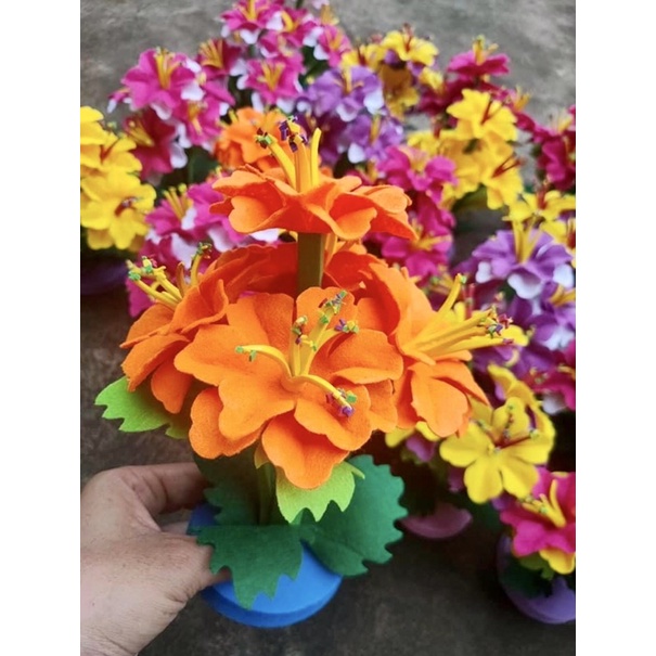 Bụi hoa, khóm hoa, cây hoa bằng nỉ