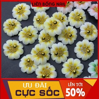 hoa bột nail- hướng dương