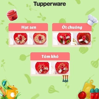 XAY TỎI MÀU ĐỎ (GIÁ XẢ KHO) TUPPERWARE