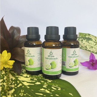 TINH DẦU XÔNG PHÒNG, XỊT PHÒNG
