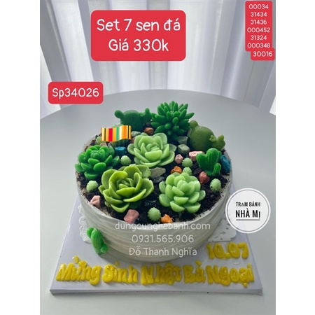 Combo Set 7 Sen Đá Khuôn Silicon
