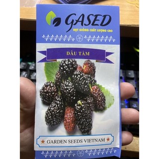 HẠT GIỐNG DÂU TẰM - 20 Hạt/ gói
